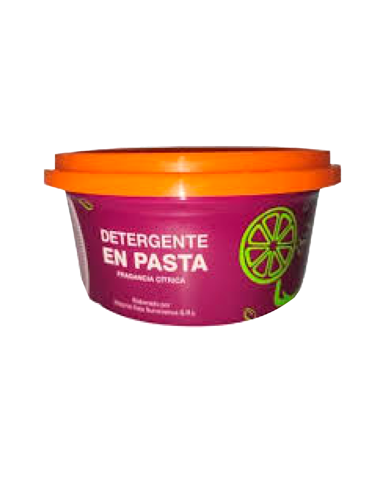 Detergente en Pasta Fragancia Cítrica KALA 24 x 400 g