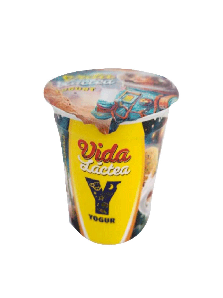 Orange flavored yogurt VIDA LACTEA 1 x 180 mL