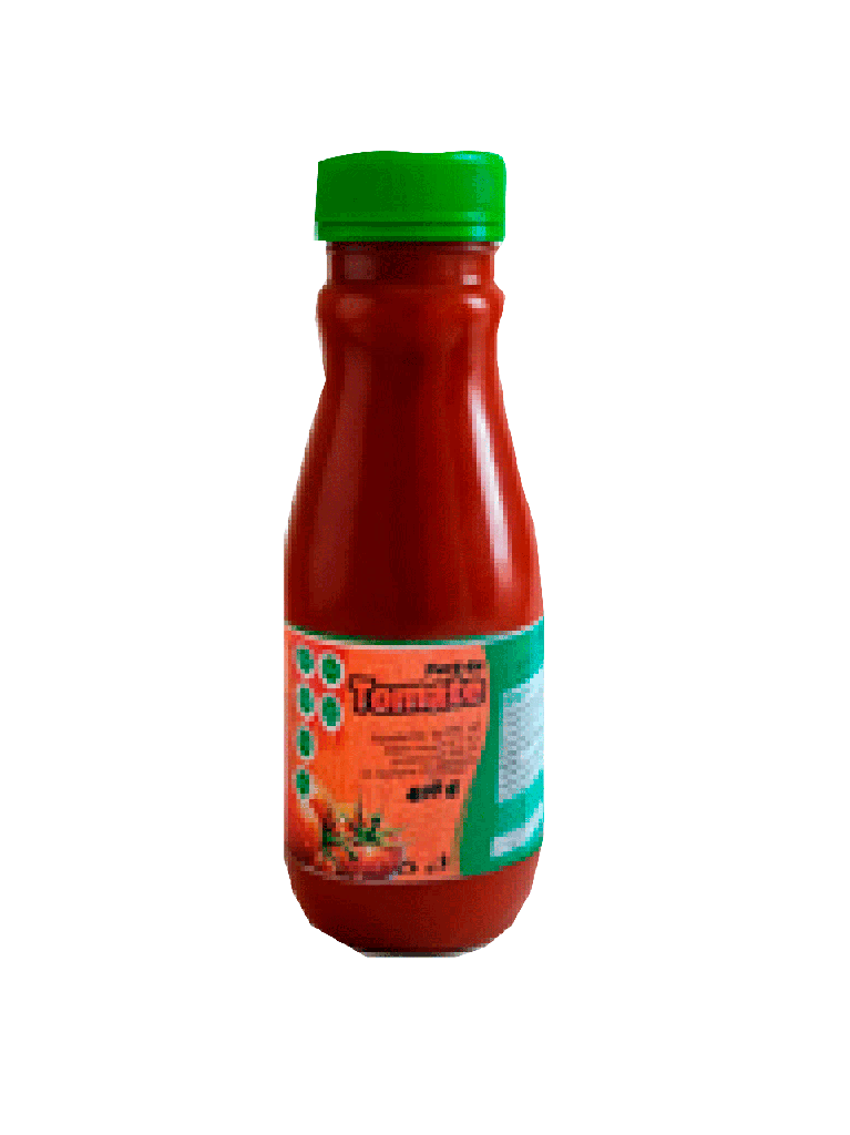 Salsa de Tomate Condimentada EL ROBLE 450 g